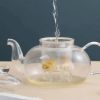 1,000 ml/33.8 oz Glass Teapot with Detachable Infuser